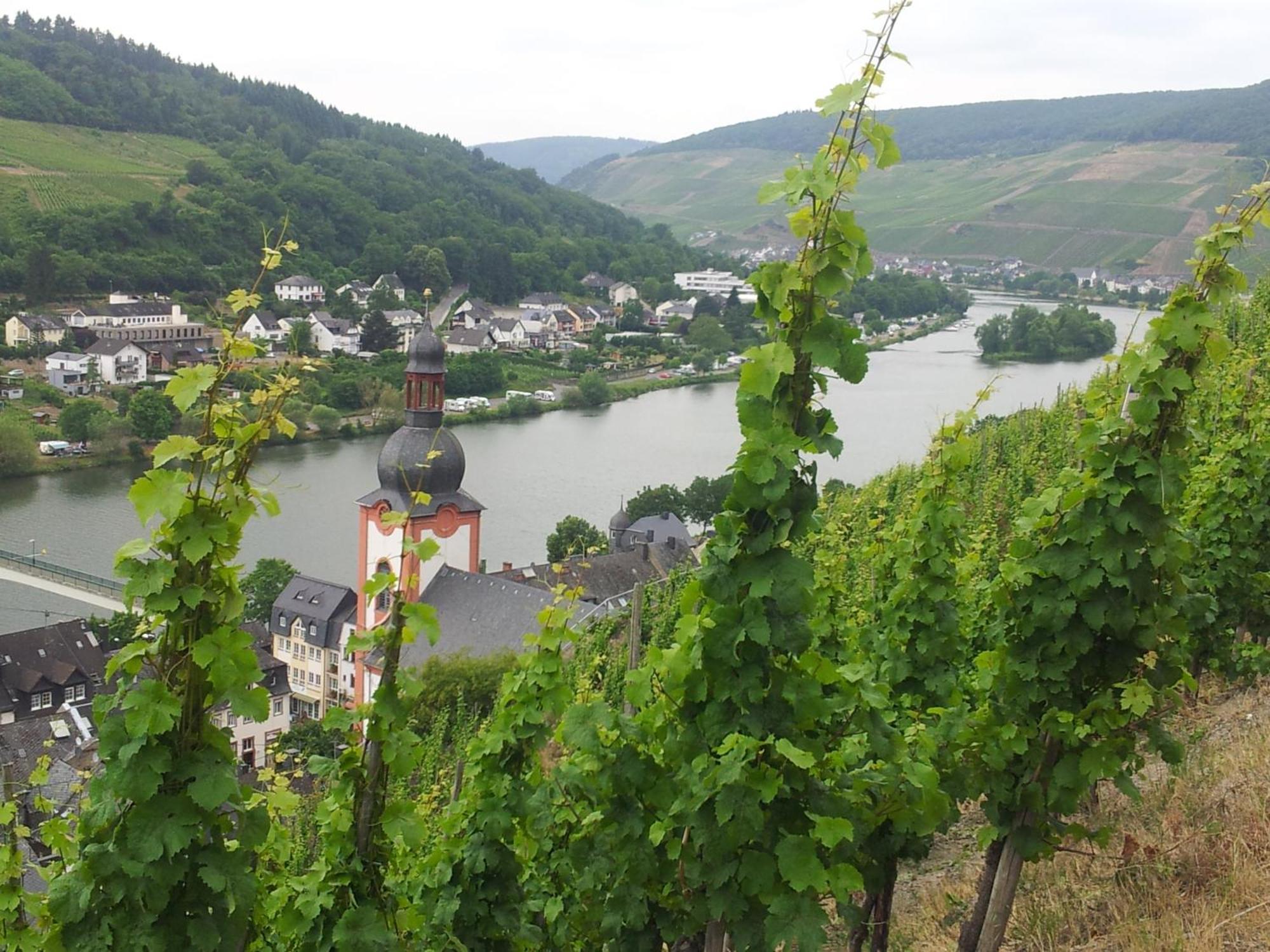 "Ferienhaus An Der Mosel" Zell an der Mosel Exterior foto