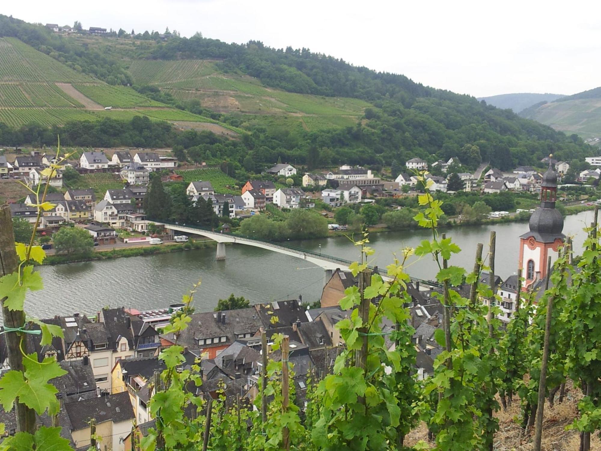 "Ferienhaus An Der Mosel" Zell an der Mosel Exterior foto